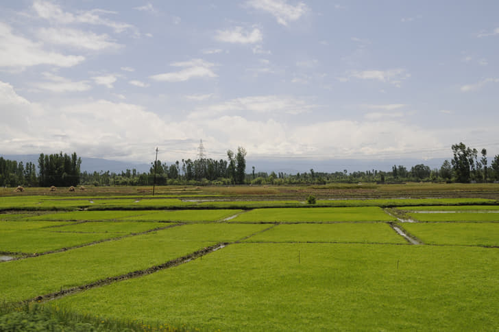 Scenery of all colours. 